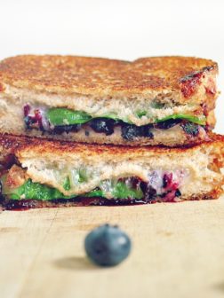 Blueberry Molasses Grilled Cheese