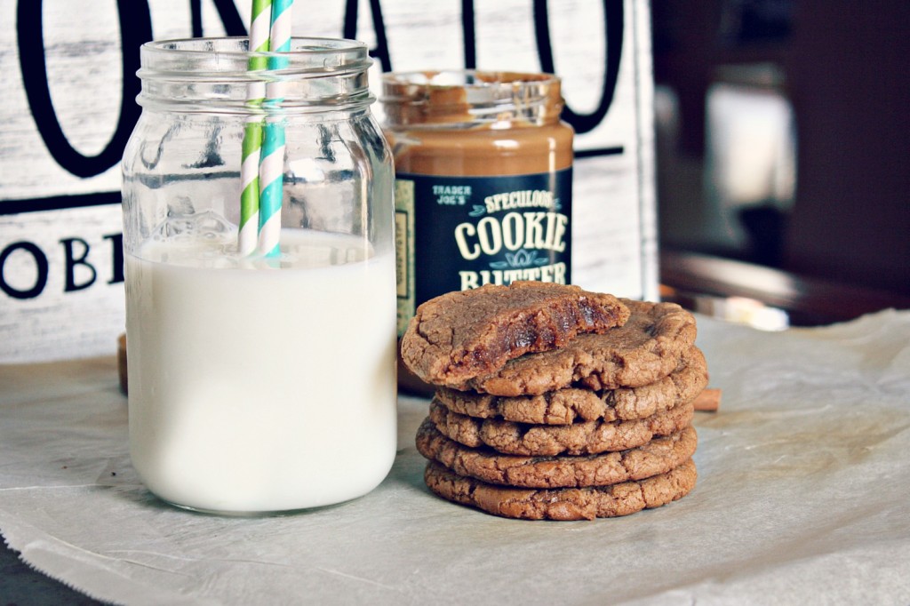 cookie-butter-cookies-5