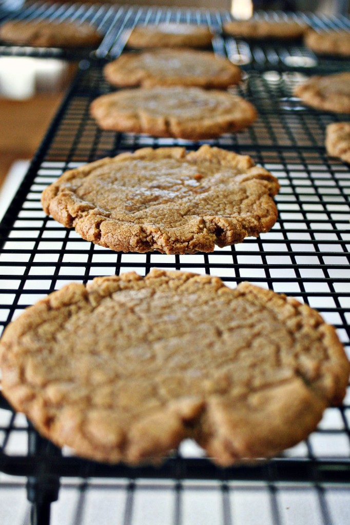 cookie-butter-cookies-6