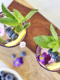 Blueberry Lemon and Cucumber Gin Mojitos by Justine Celina