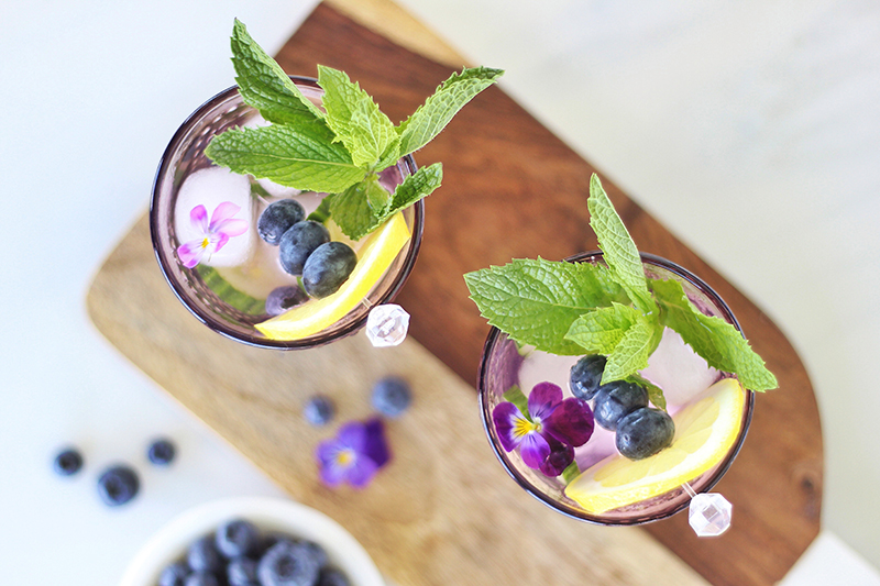 guest post: blueberry lemon and cucumber gin mojitos by justine celina