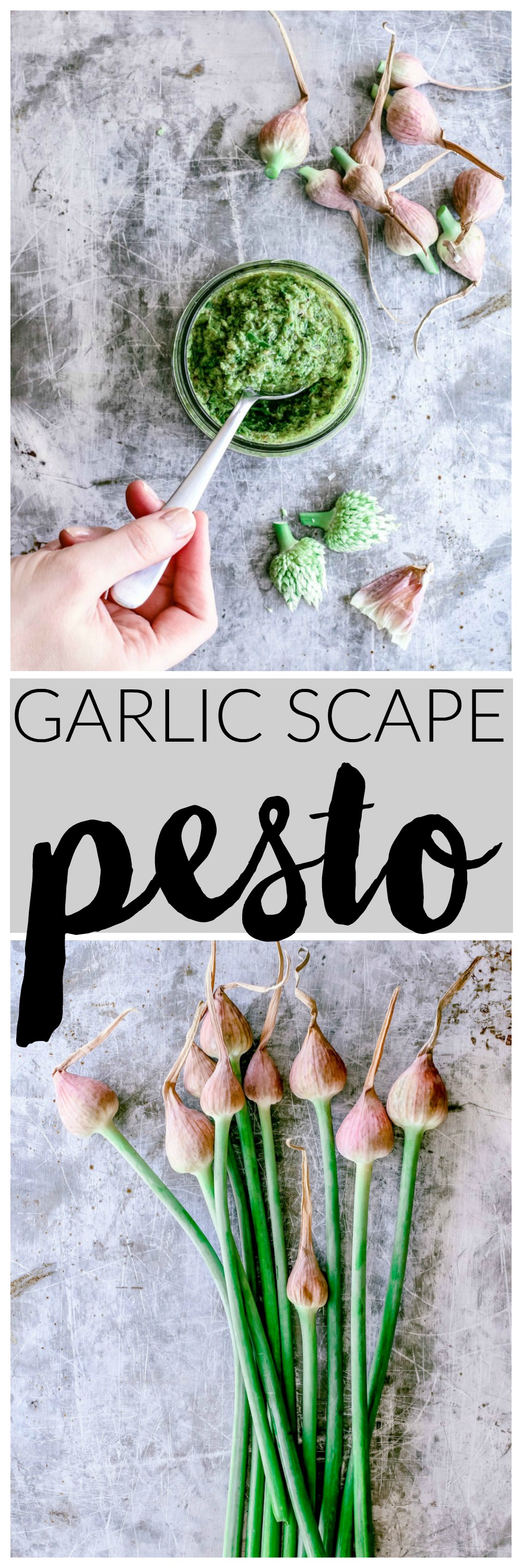Garlic Scape Pesto | Killing Thyme