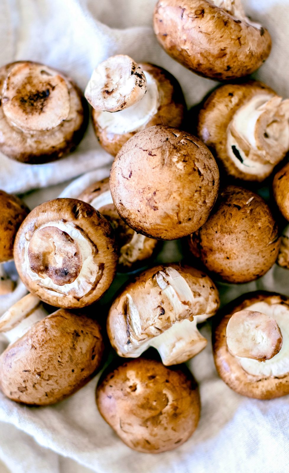 Pile of fresh baby bella mushrooms