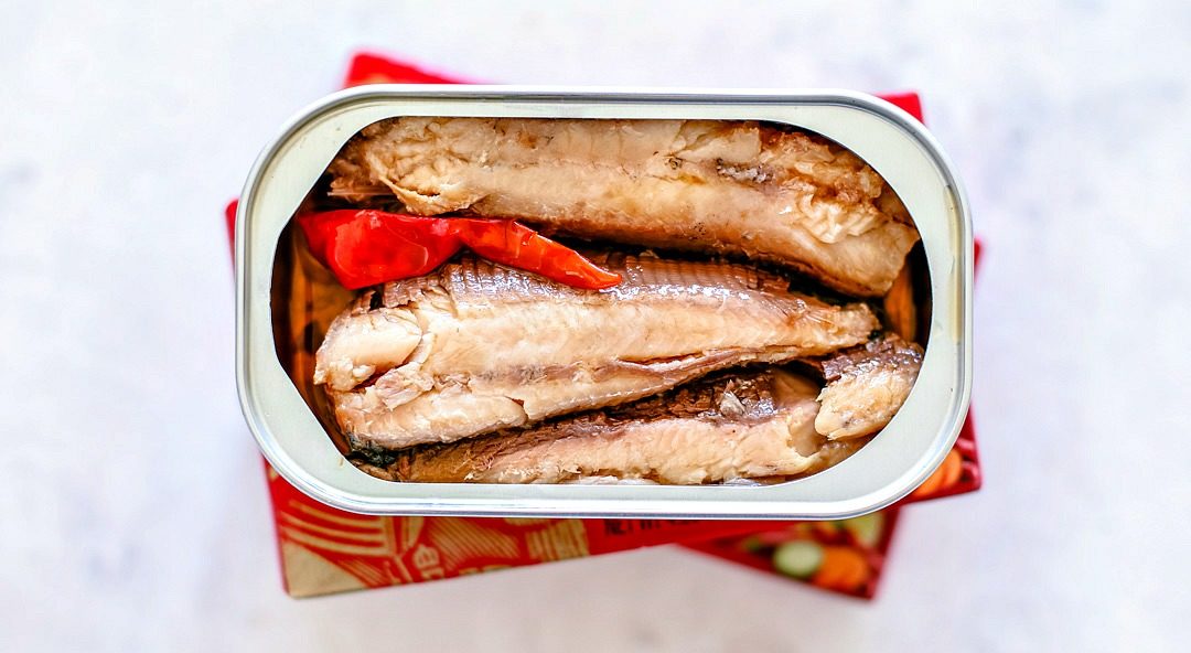 Opened can of sardines