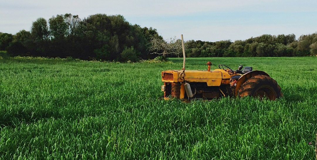 How to Support Local Farms—tractor in a grassy green field.