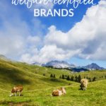 How to Support Welfare Certified Brands