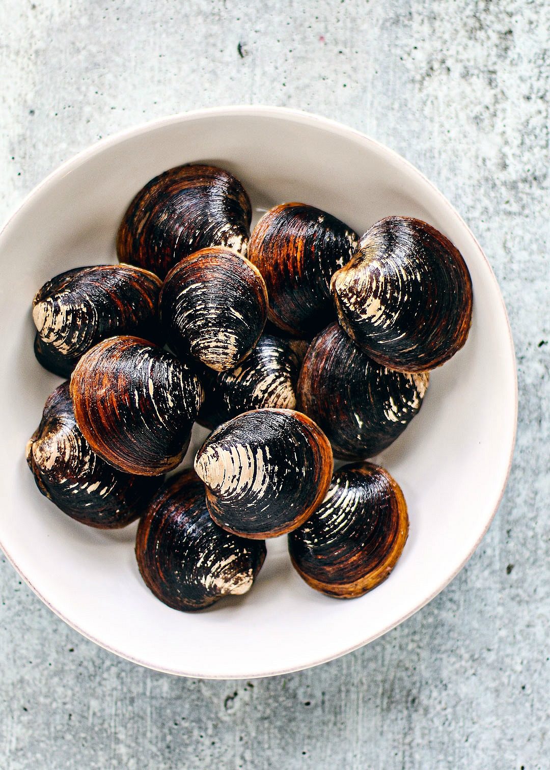 Bowl of fresh clams.
