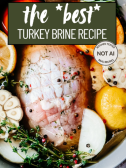 The Best Turkey Brine Recipe