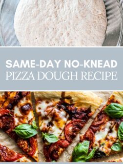 same-day no-knead pizza dough recipe pin