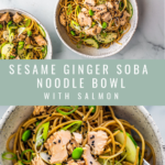 Sesame Ginger Soba Noodle Bowl with Salmon
