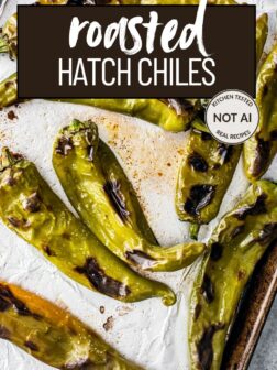 ROASTED HATCH CHILES PIN