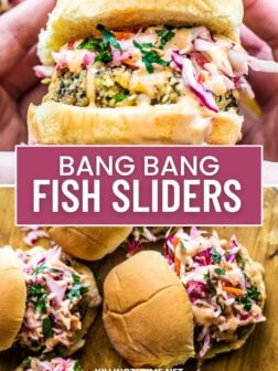 bang bang fish slider pin