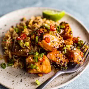 Side shot close up of plate with rice topped with cubed salmon tossed in sweet chili sauce and garnished with scallions and chilies.