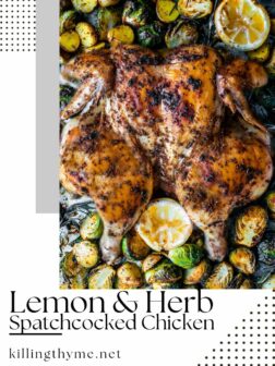 Lemon & Herb Spatchcocked Chicken Pin