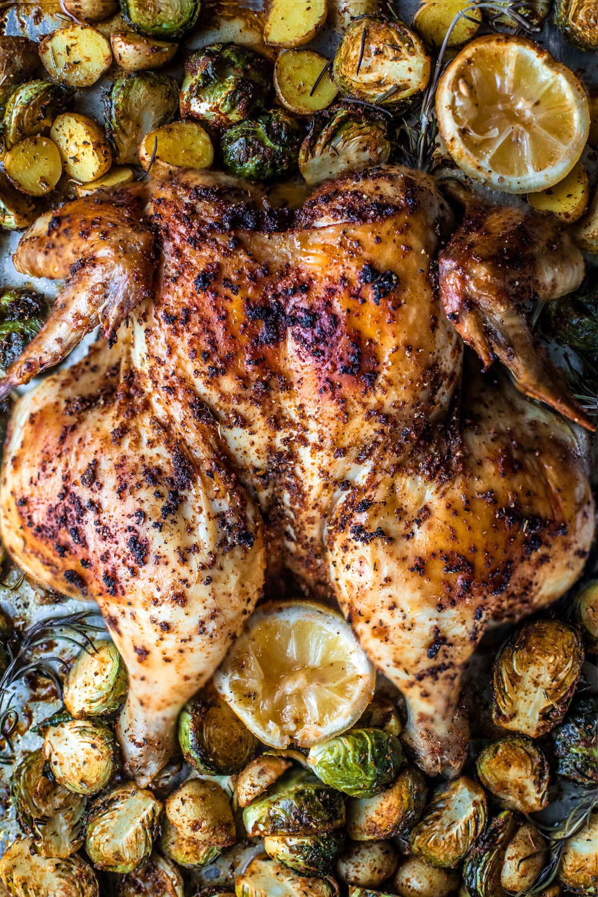 Crispy seasoned spatchcocked chicken on baking sheet with veggies and lemons.