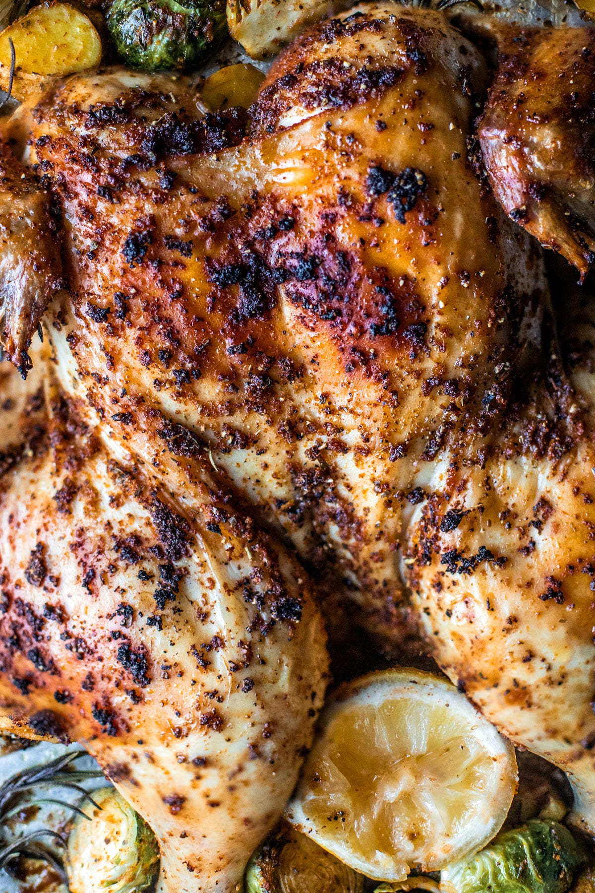 Crispy seasoned spatchcocked chicken on baking sheet with veggies and lemons.