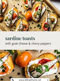 sardine toasts with goat cheese pin