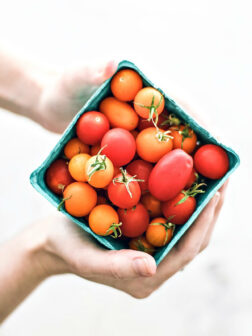 20 Cherry Tomato Recipes to Eat This Summer