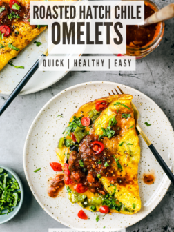 Roasted Hatch Chile Omelet PIN