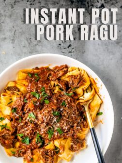 instant pot pork ragu pin