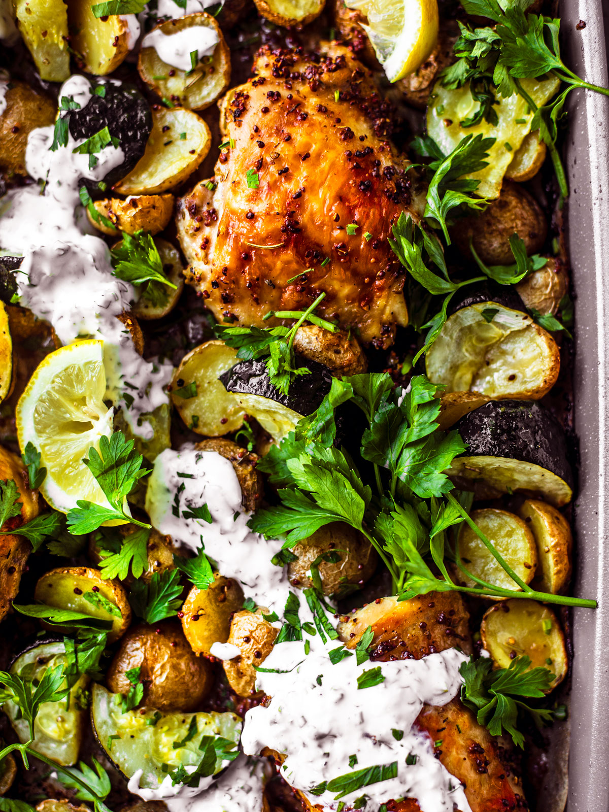 Close up of roasted chicken thighs, zucchini, potatoes, with a drizzle of yogurt sauce and fresh herbs on a sheet pan.