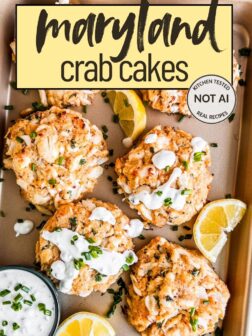 maryland crab cakes pin