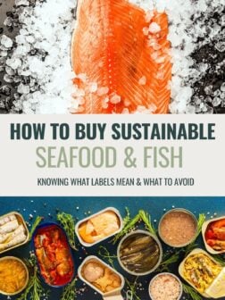 How to buy sustainable seafood & fish guide