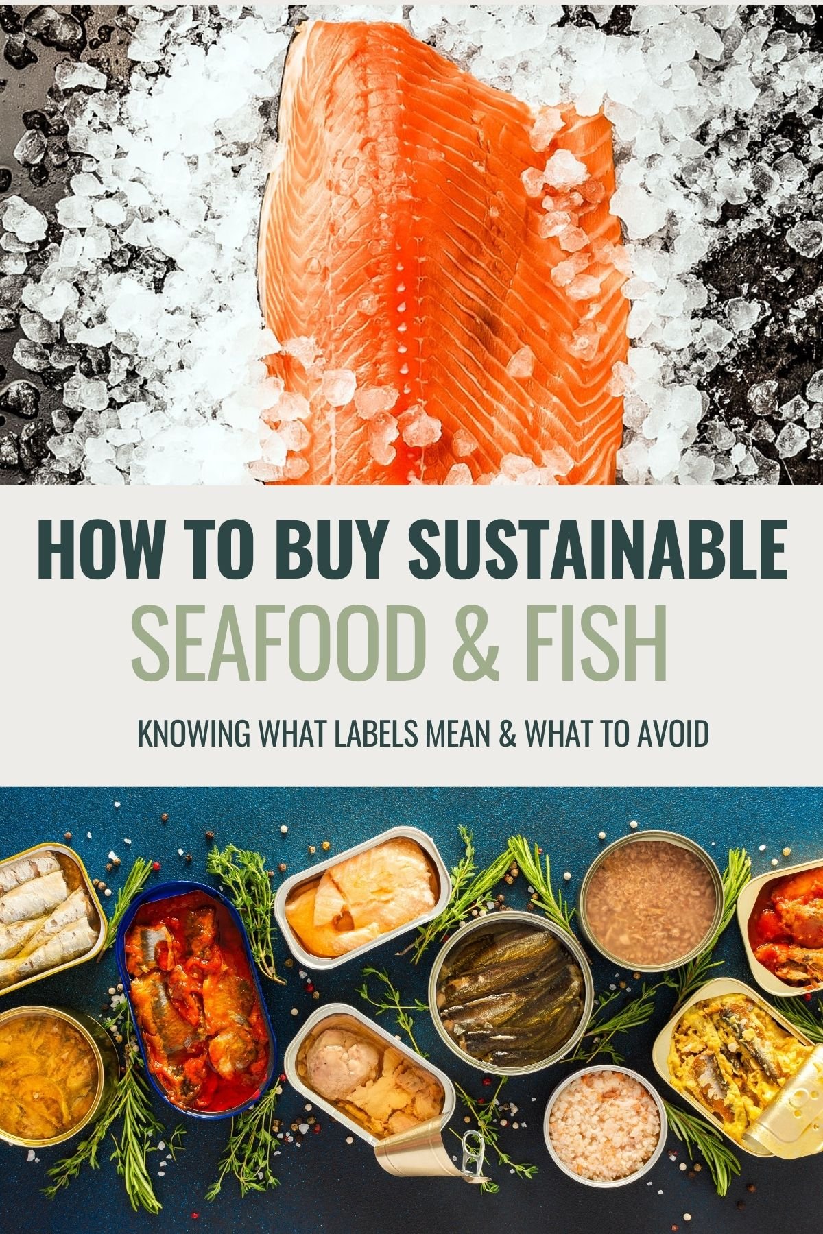 Title photo with text "How to buy sustainable seafood & fish" with photo of salmon on ice and various canned fish.