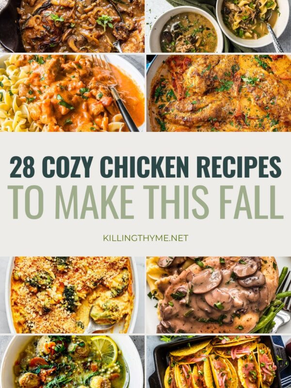 Header photo for Fall Chicken Recipes