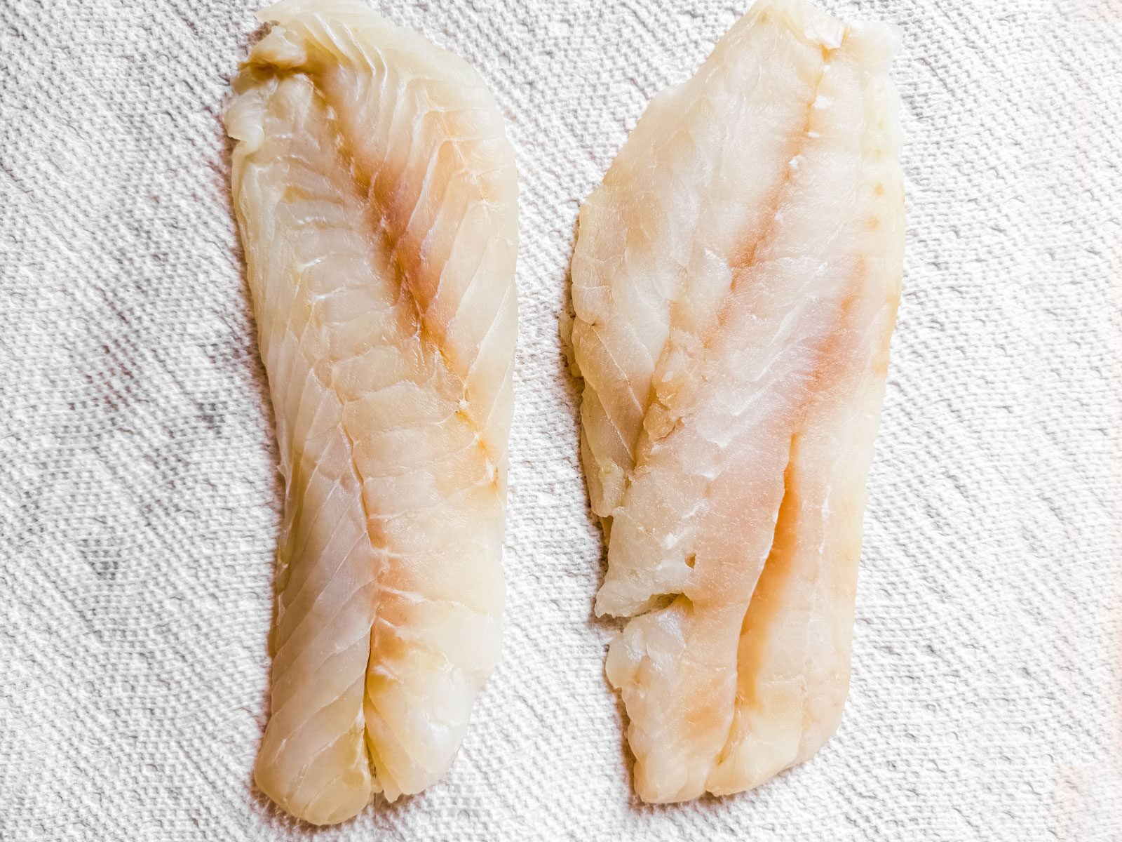 Uncooked grouper fillets on a paper towel.